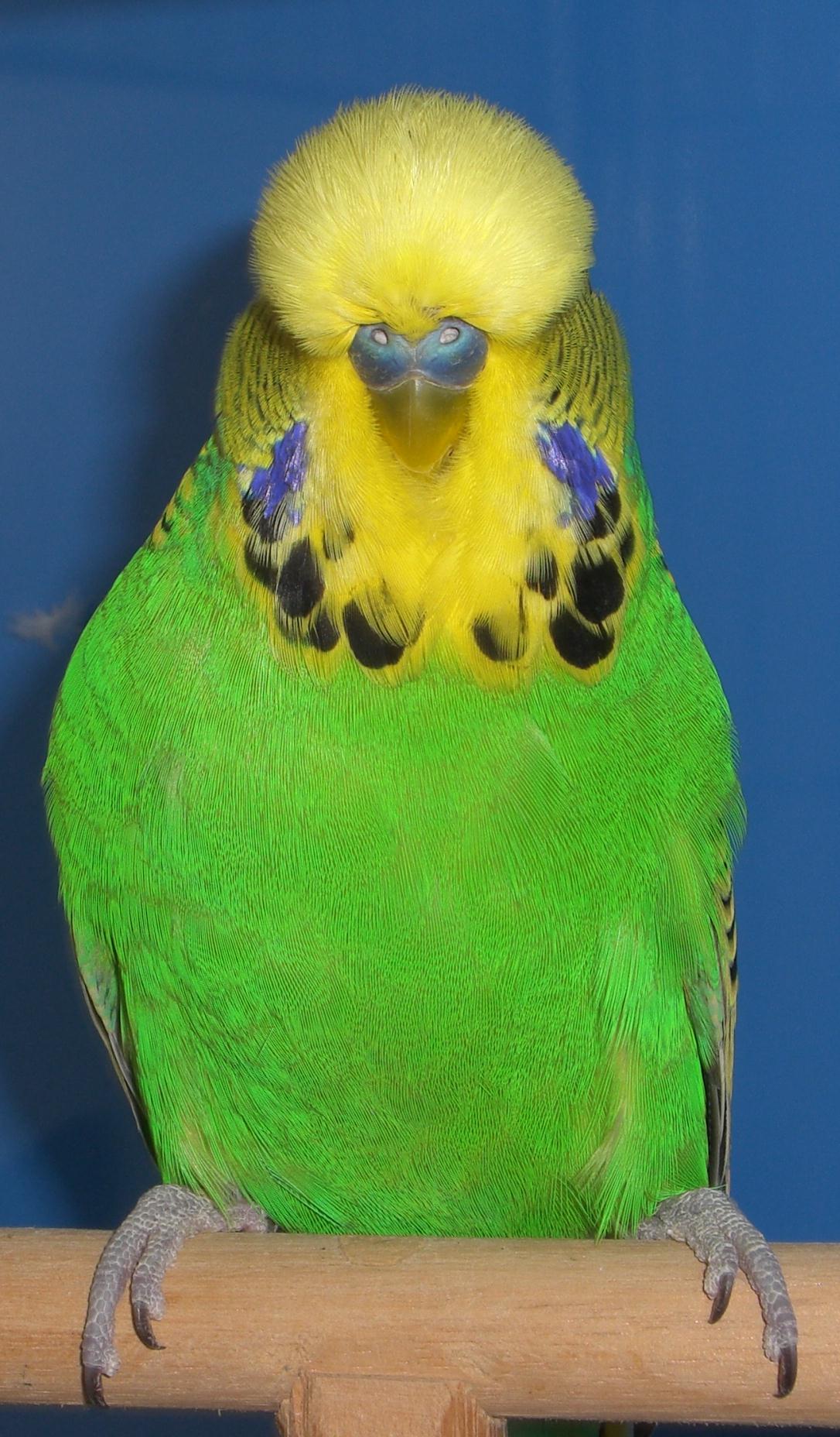 CIMG2853