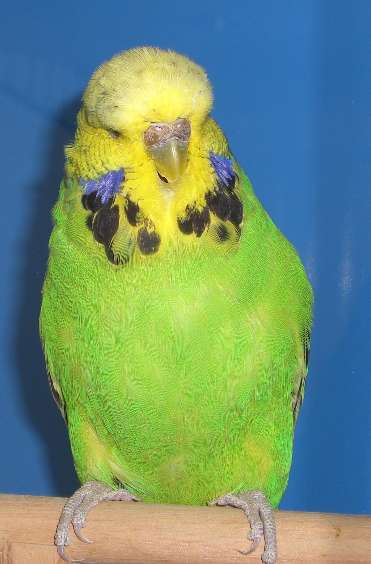 CIMG2878