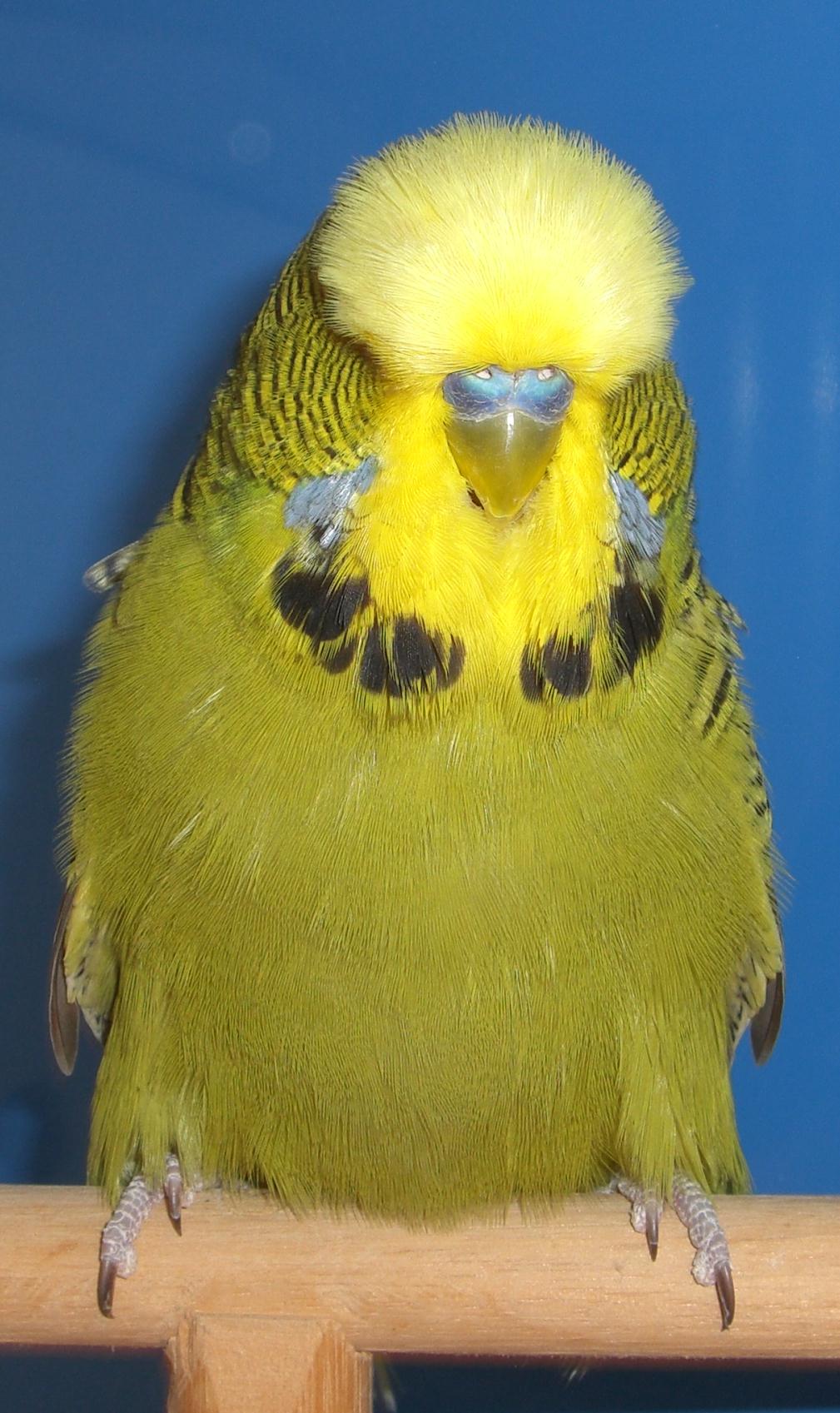 CIMG2895