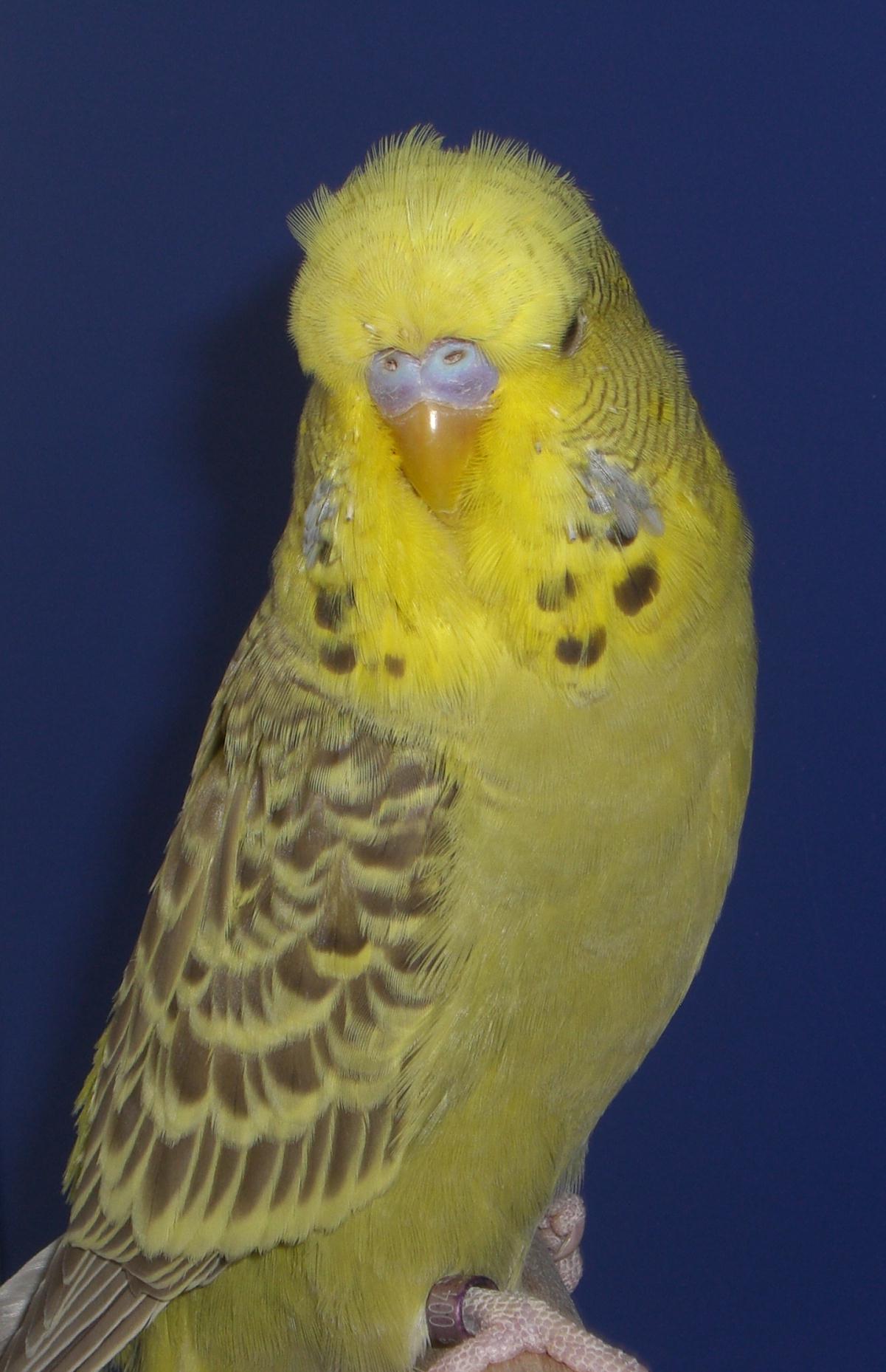 CIMG3762