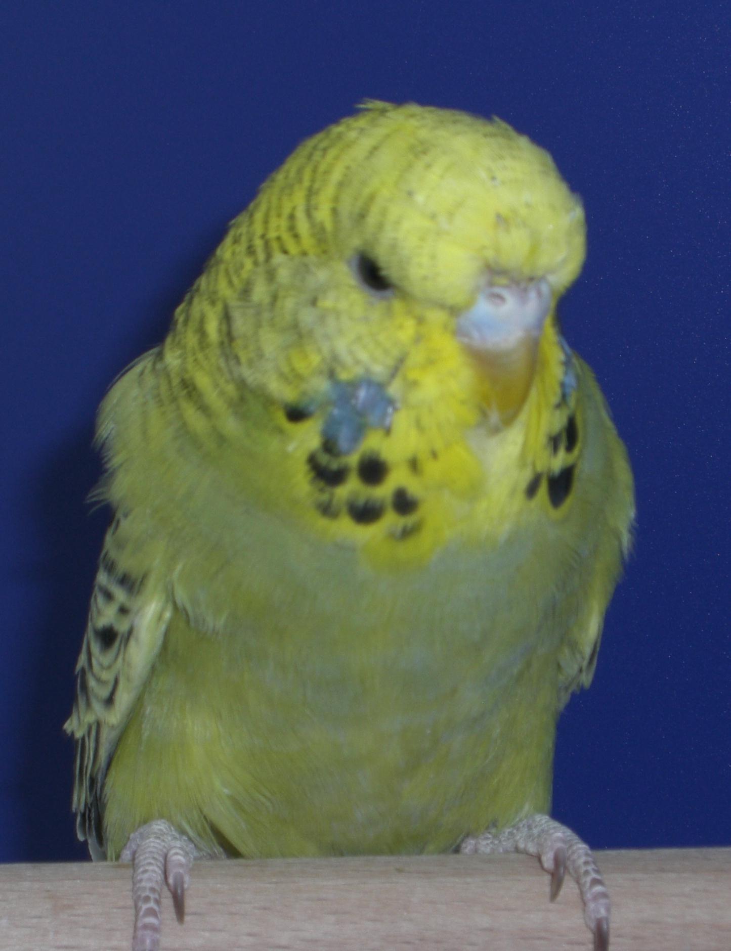 CIMG3771