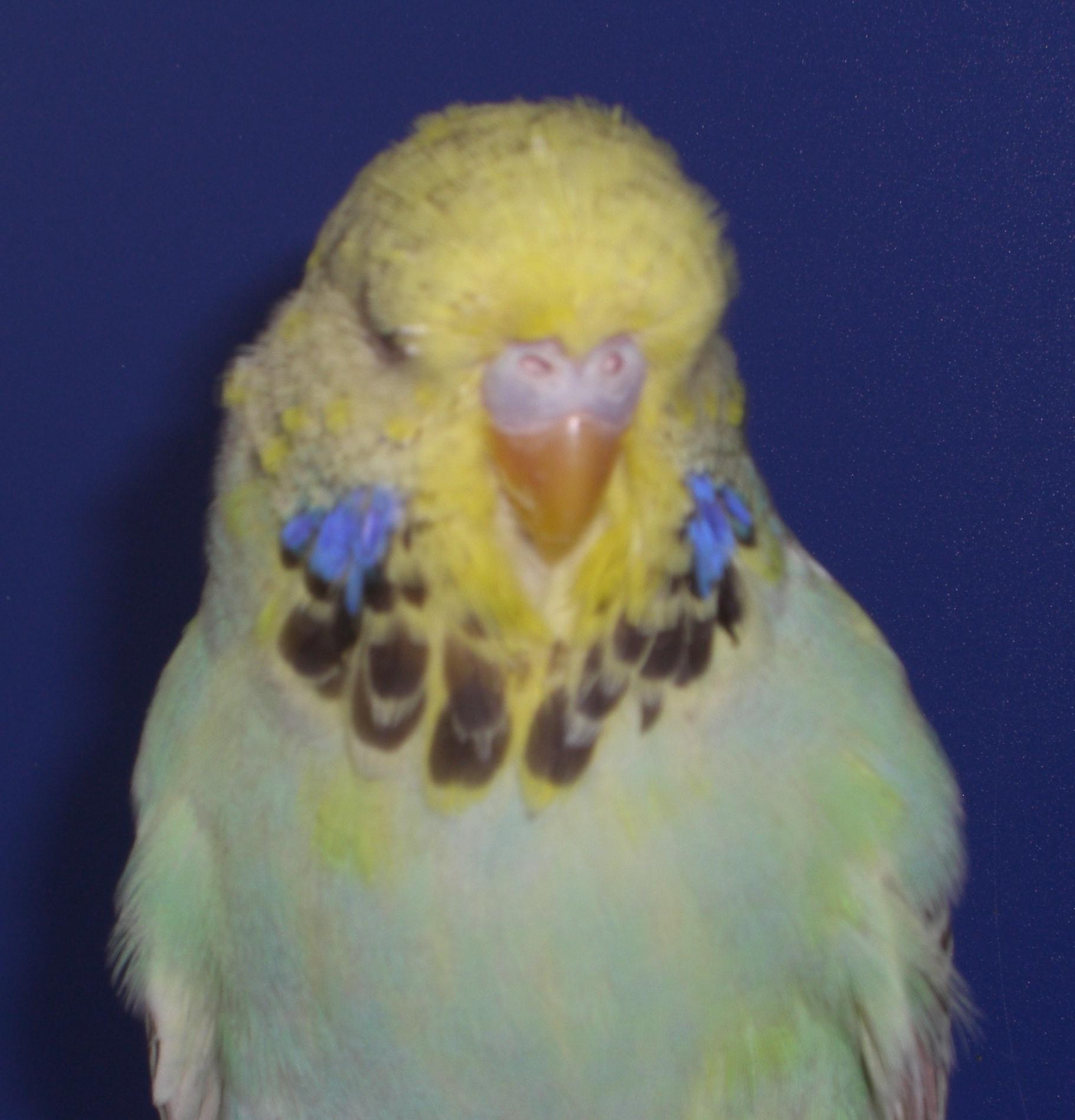 CIMG3775