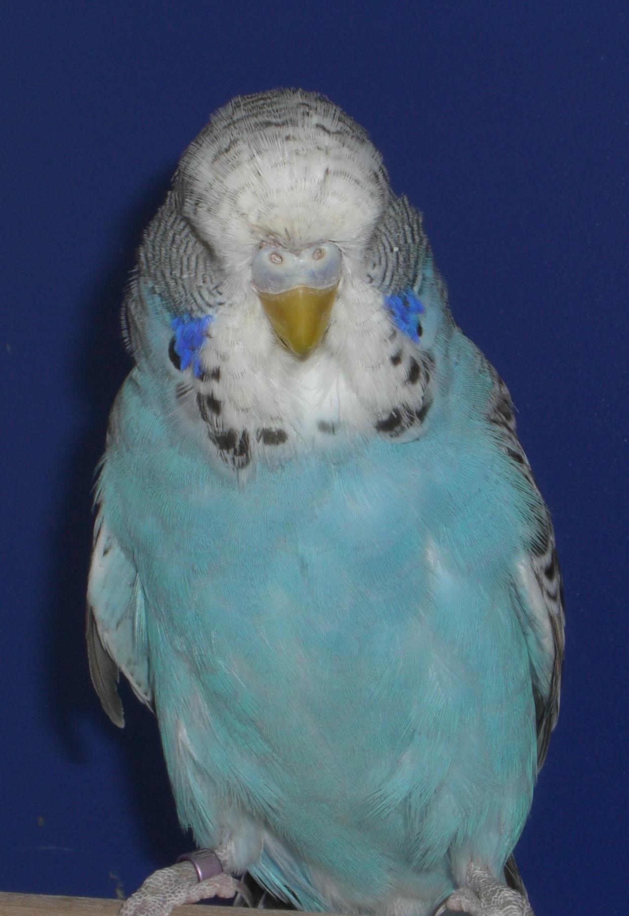 CIMG3789