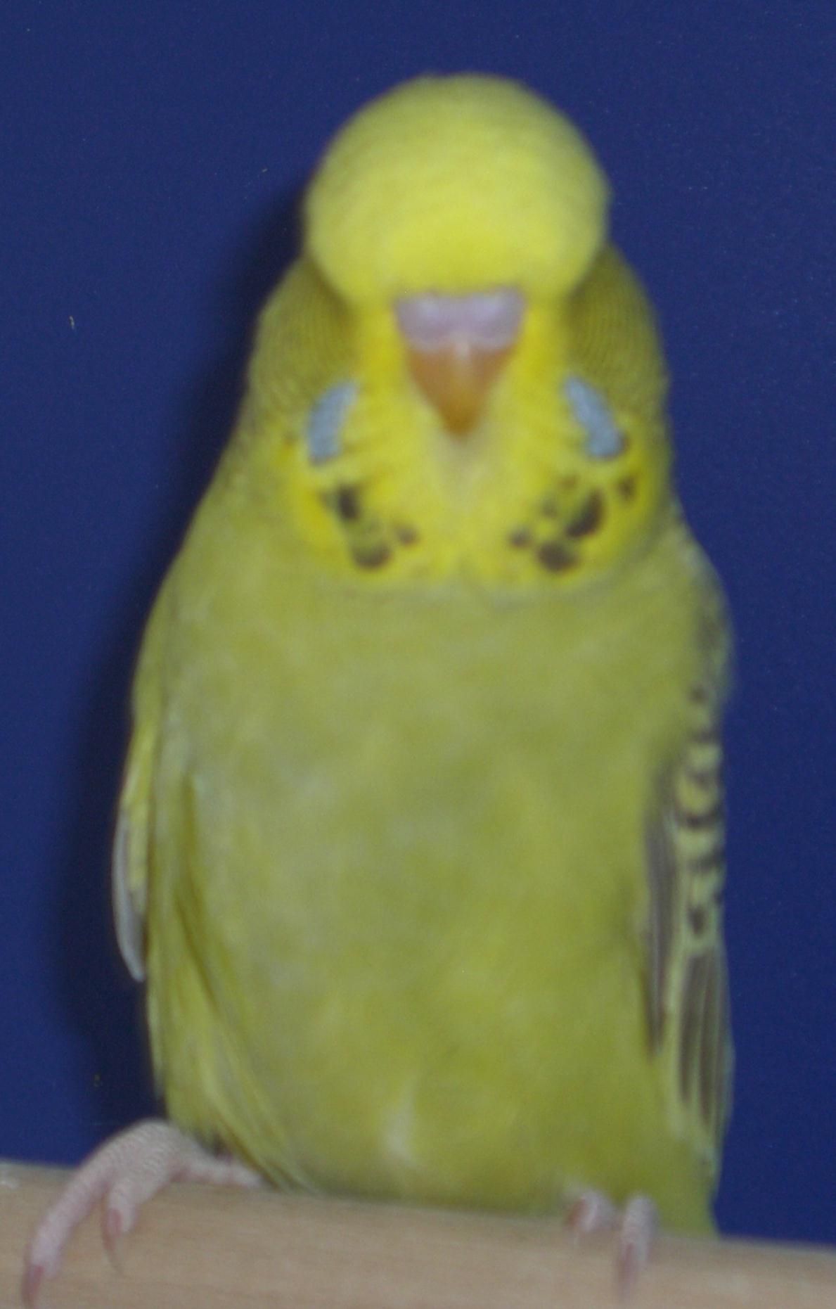 CIMG3795