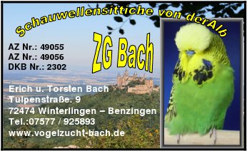 ZG Bach02
