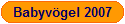 Babyv�gel 2007