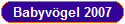 Babyv�gel 2007