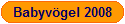 Babyv�gel 2008