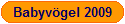 Babyv�gel 2009