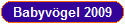 Babyv�gel 2009