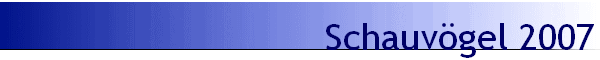 Schauv�gel 2007