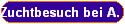 Zuchtbesuch bei A. Schweikart