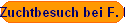 Zuchtbesuch bei F. B�ck