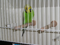 BS 2008304
