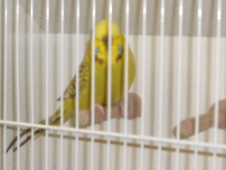 CIMG1033