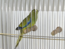 CIMG1036