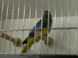 CIMG1048