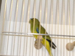 CIMG1053