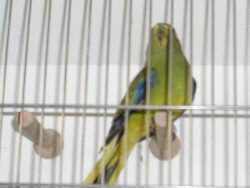 CIMG1057
