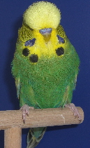 CIMG5224