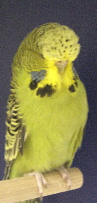 CIMG6930