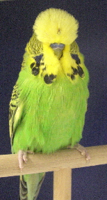 CIMG6936