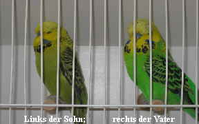 IMG_018611 IMG_018611