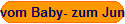 vom Baby- zum Jungvogel