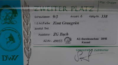 zimt graugrn_1