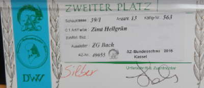 zimt hellgrn_1