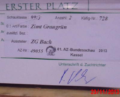 zimtgraugrn1