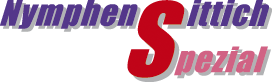 logo_nss